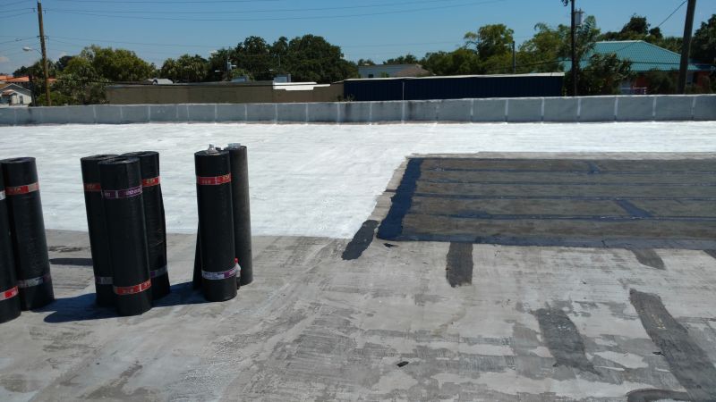 Roof Coating detail